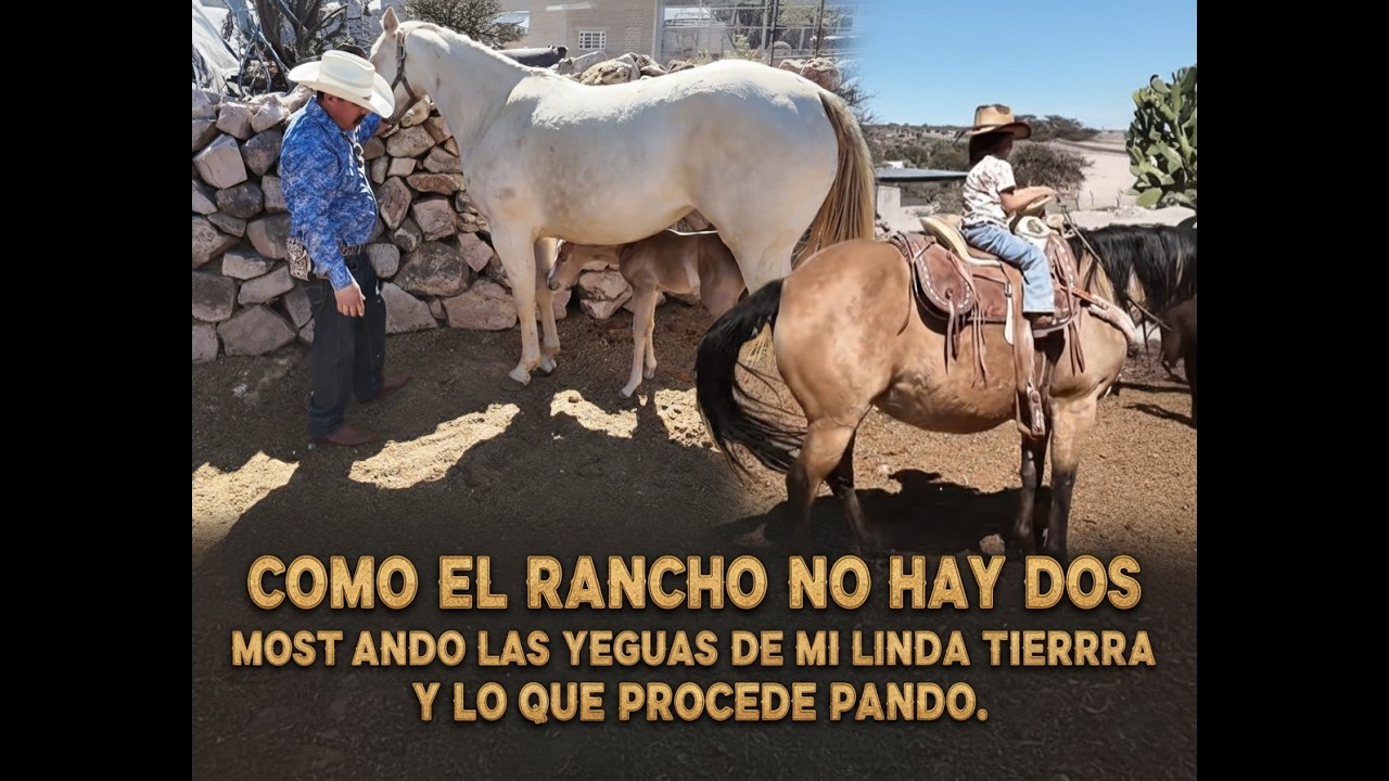 COMO EL RANCHO NO AY DOS  MOSTRANDO  LAS YEGUAS  DE MI LINDA TIERRA Y LO QUE PROCEDE  PANDO