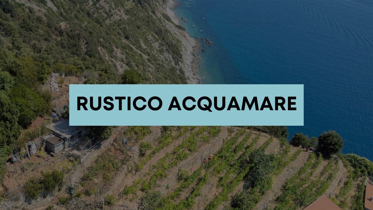 RUSTICO ACQUAMARE - Cinque Terre . Schiara di Tramonti