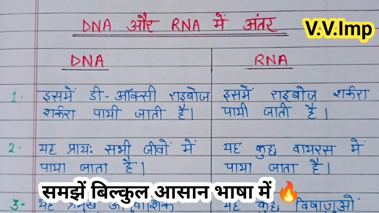 Difference Between DNA And RNA | Differences between DNA and RNA | DNA और RNA में अंतर 