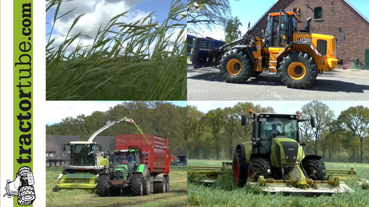 Grünroggen mähen + häckseln + festfahren mit Claas + Deutz und neuem JCB 435S