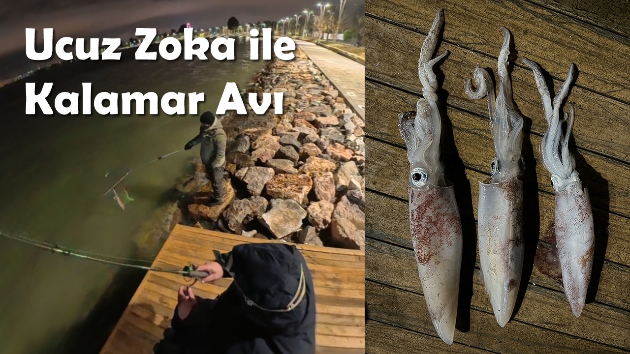 Ucuz zoka ile kalamar avı