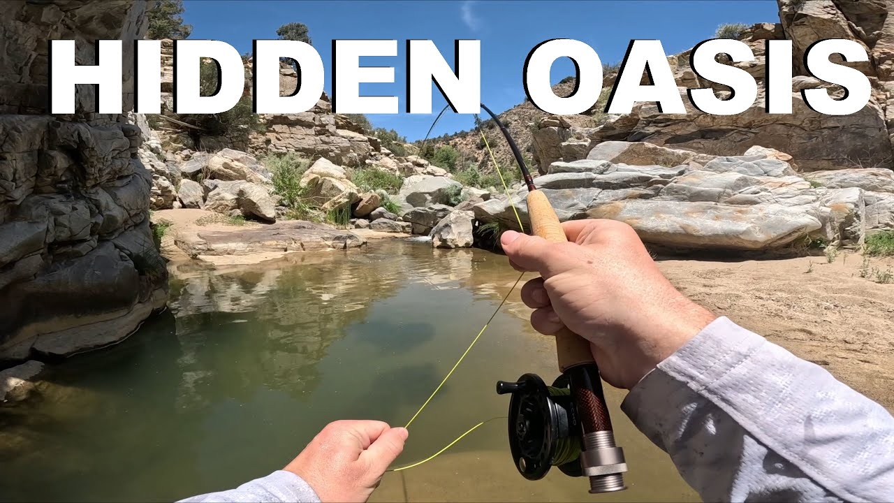 California Trout Fishing | Hidden Oasis
