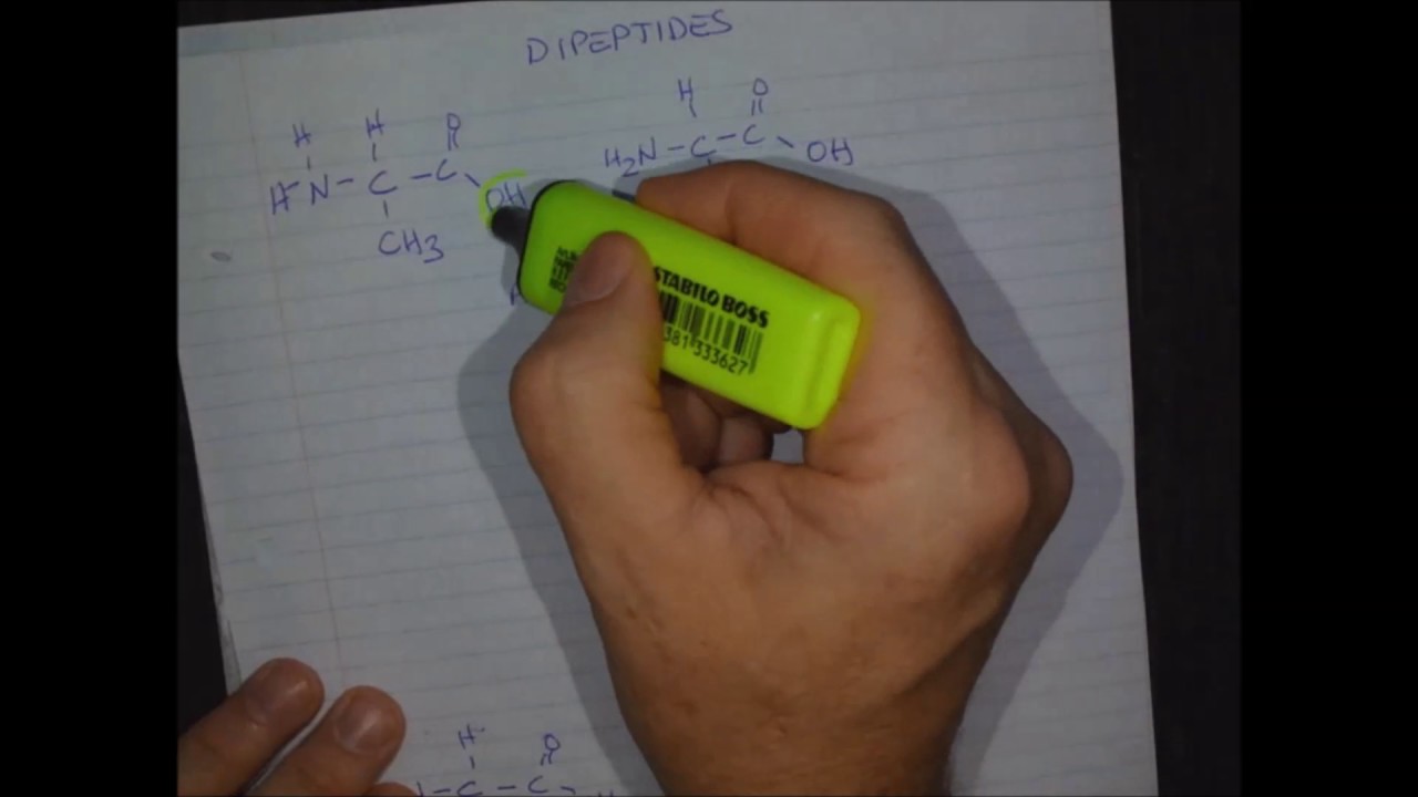 Condensation Reactions
