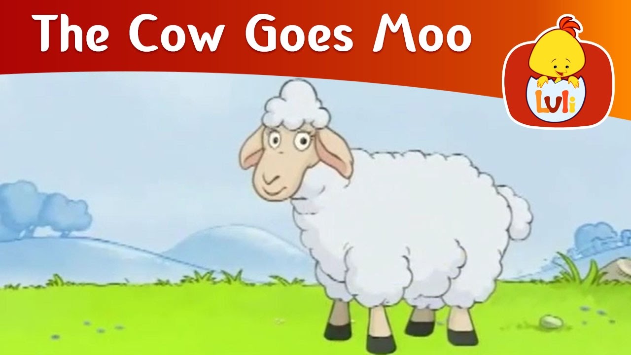 The Cow Goes Moo | The sheep | Cartoon  for Children - Luli TV