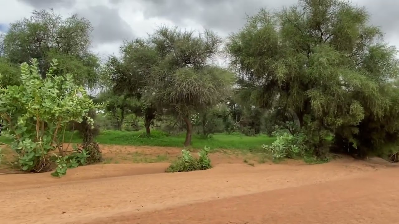 رغم افتتاح موسم سياحة الخريف، جوف ترتي خاو على عروشه