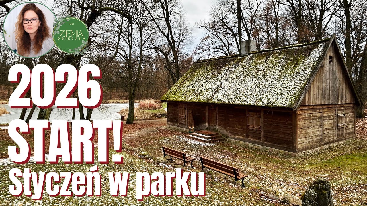 2026 START - styczeń w parku