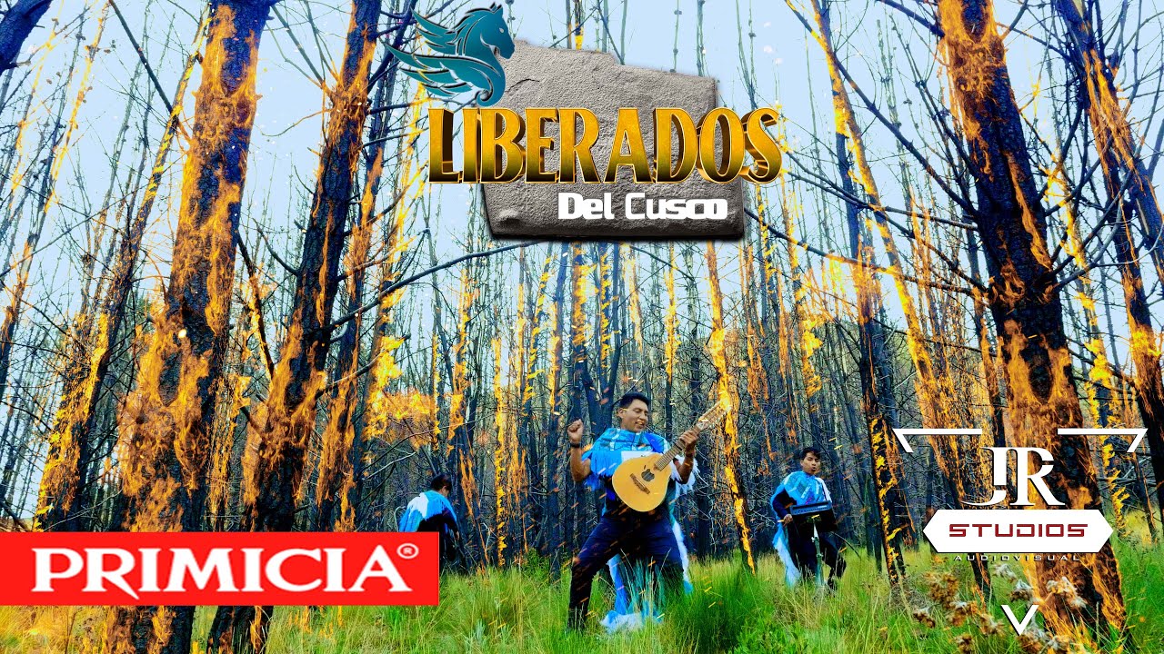 Liberados del Cusco - SOLTERITO - JR STUDIOS 2022