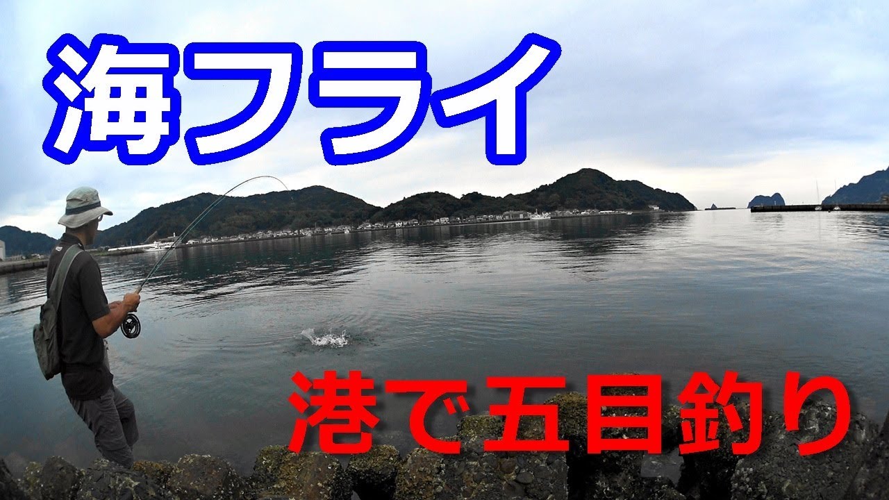 海フライ　港で五目釣り　 2018 / フライフィッシング