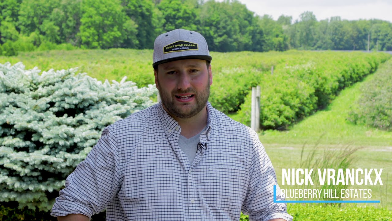 BERRY GROWERS OF ONTARIO - promo video