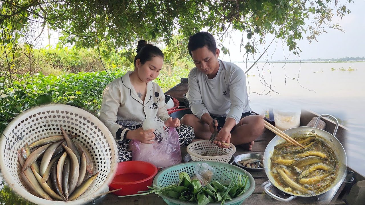 DỞ LÚ Bắt Được Mớ Cá Chạch Đồng Đem Đi Kho Nghệ Trên Chiếc Ghe Nhỏ Ở Sông Tiền | HLDT 933