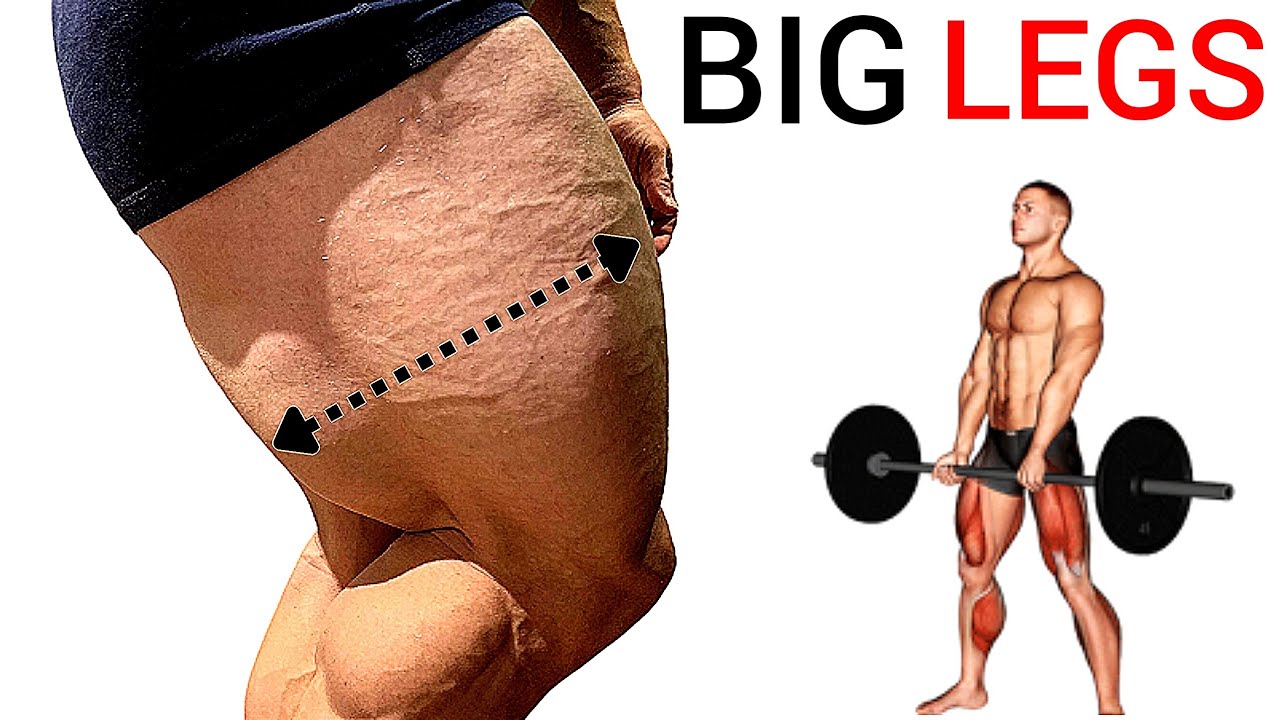 Full Thigh Workout to Build Big Legs
