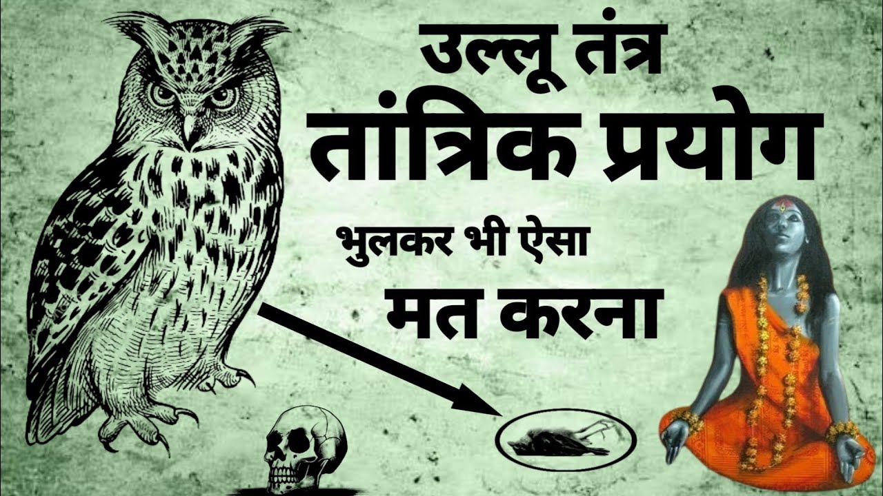 Ullu Tantra | उल्लु तंत्र का तांत्रिक प्रयोग | उल्लु तंत्र रहस्य | #tantra