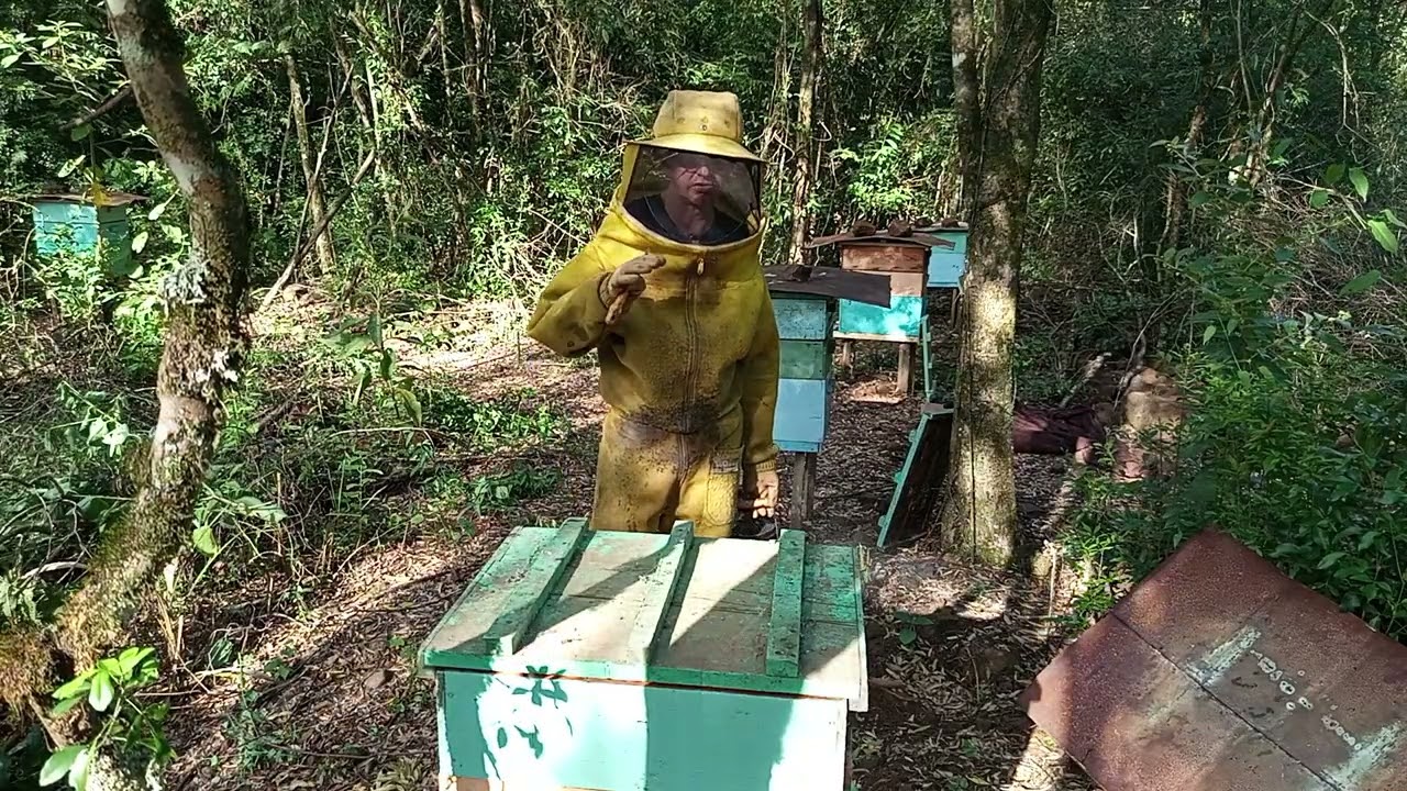 Quanto tempo se gasta trabalhando com abelhas?