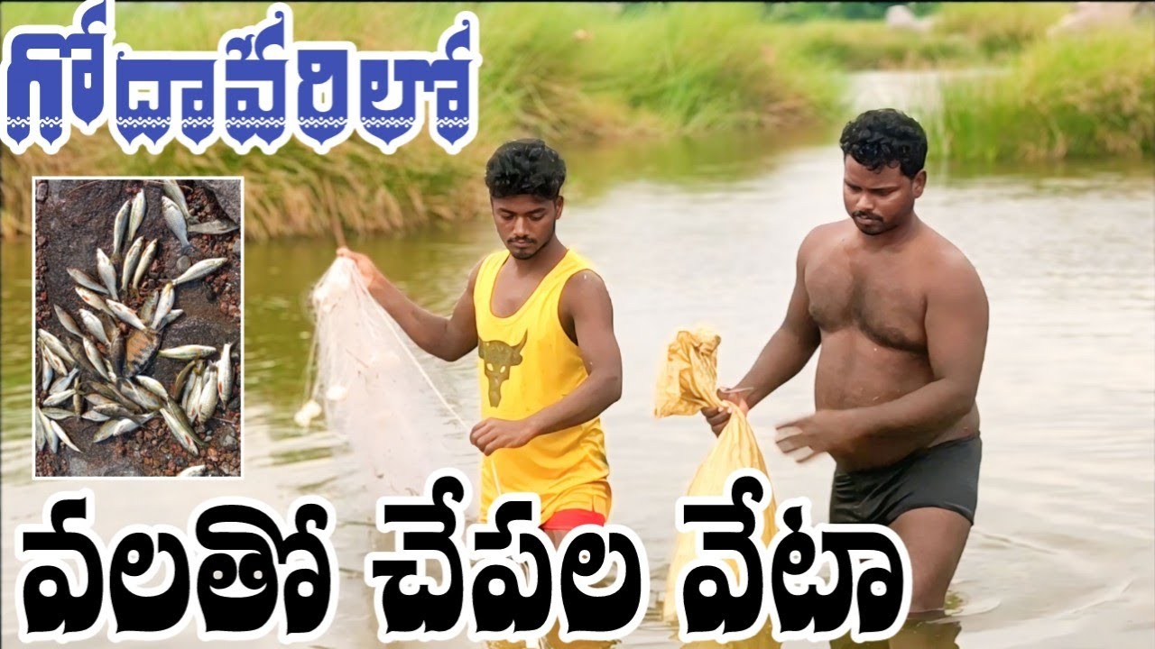 వలతో చేపల వేటా: గోదావరి అనుభవం  |Fishing with a Net: My Epic Experience in Godavari