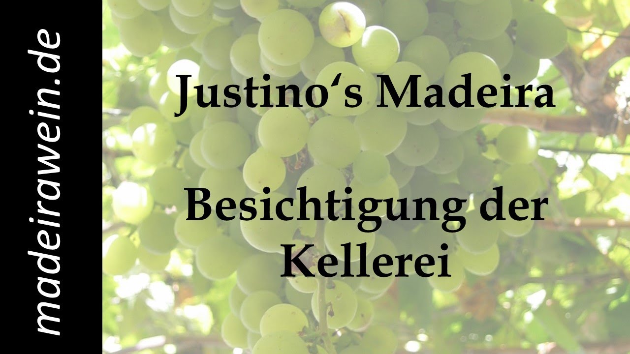 Justino's Madeira - Besuch der Kellerei