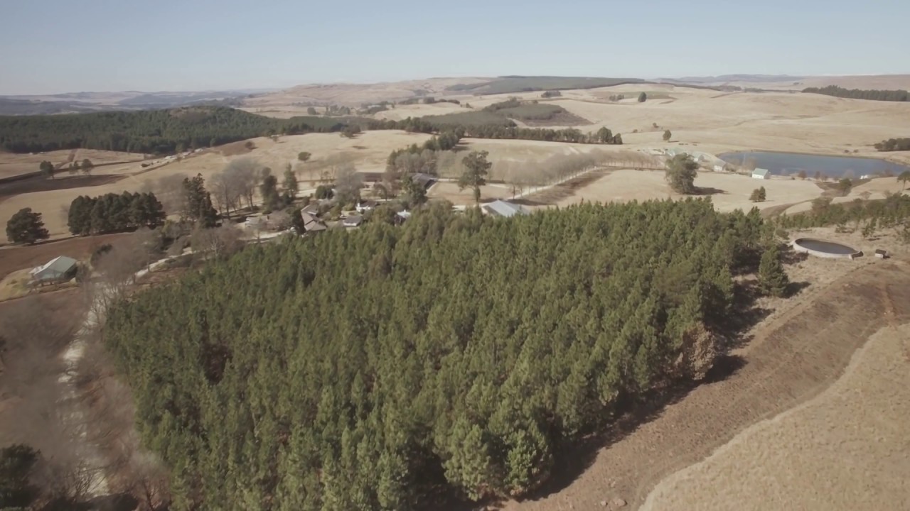 Bellwood weddings Drone