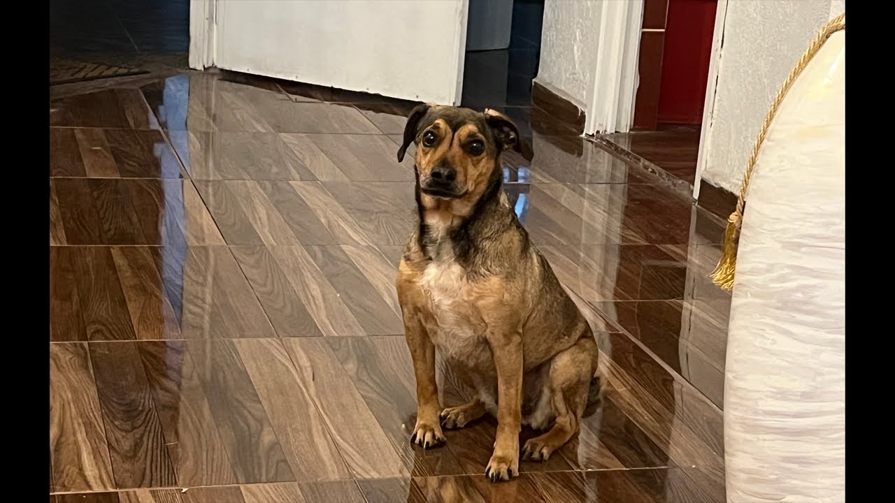 Curiosa mi amor🥰🥰🥰