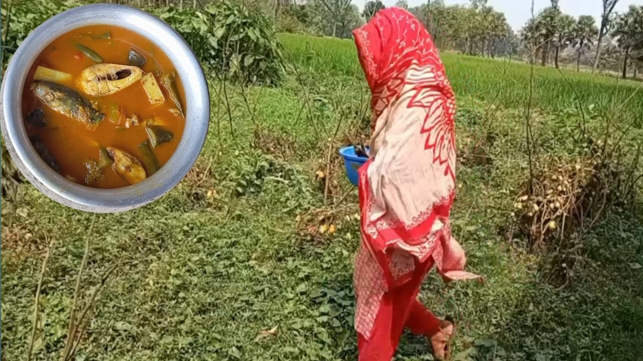 🏡🍆গাছের তাজা বেগুন দিয়ে ইলিশ মাছ রান্না 🐟বৃষ্টি শেষে  সংসারের কর্মব্যস্ততা #village #cooking 