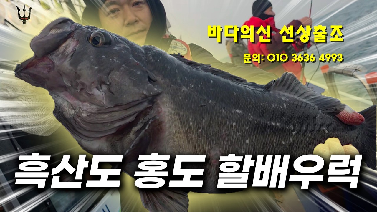 먼 바다 할배 우럭 65cm 히트_바다의신