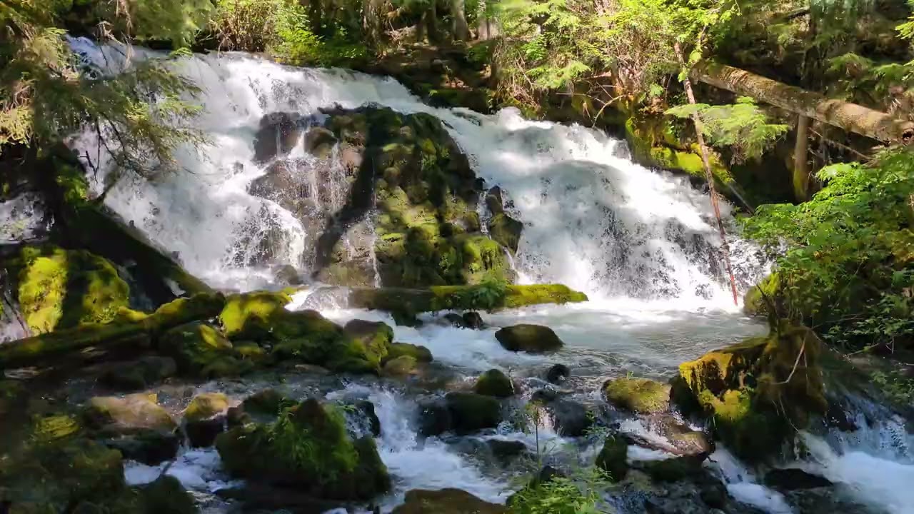 Pearsony Falls 2