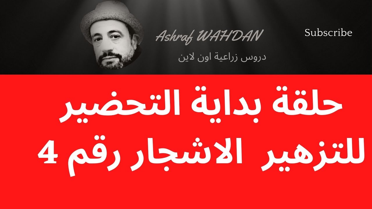 التعامل الصحيح مع الاشجار اثناء التزهير من اهم اسباب زيادة وجودة الانتاج  الحلقة رقم 4