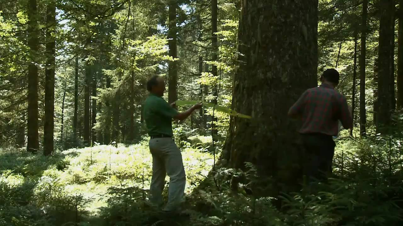 Hotzenwald Life - Projekt Film