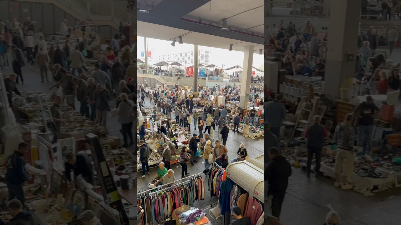 Hunting for treasures, did we score some bargains ?