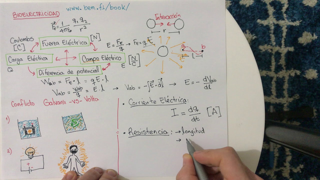 Bioelectricidad - parte 2