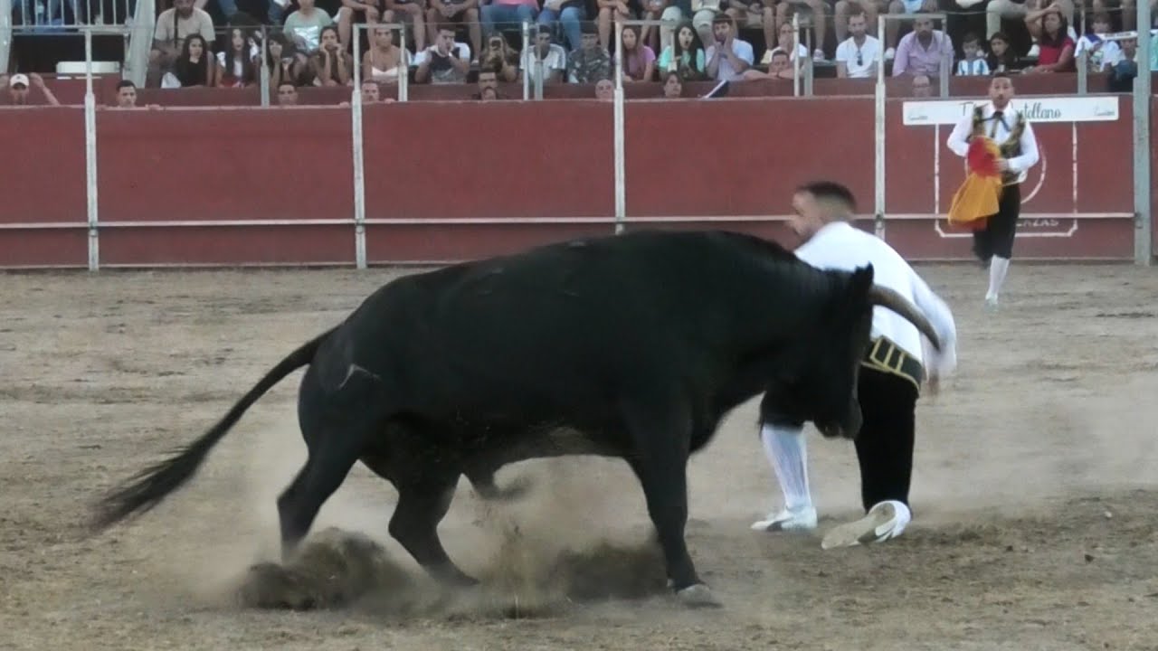 Santa Marta 2023 Concurso con Toros Bravos