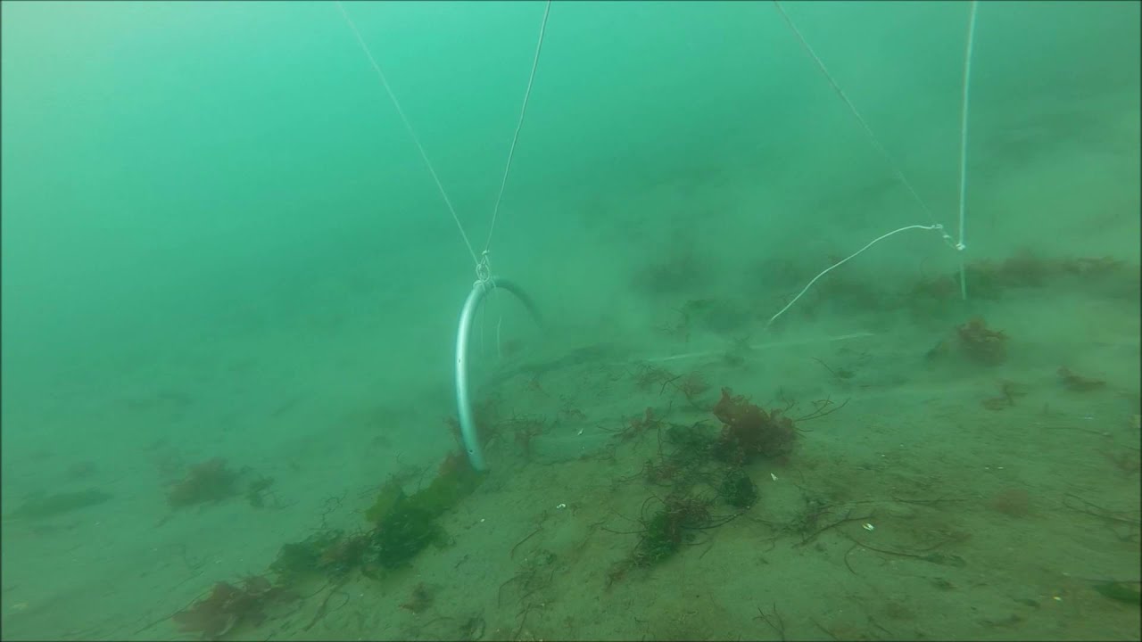 Mantus Anchor Test.  Deep Set.  Video #40 of an ongoing anchoring series.