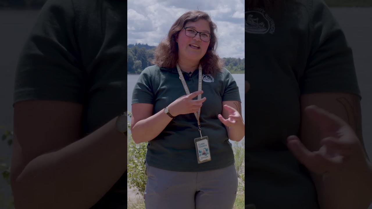 What is benthic algae?