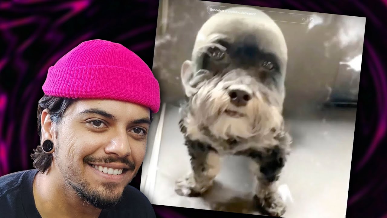 Meu humor por 16 minutos