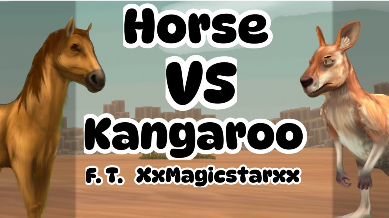 Kangaroo VS Horse | WildCraft