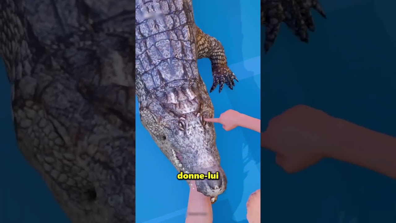 Fais &ccedil;a pour &eacute;chapper &agrave; la morsure mortelle d&rsquo;un crocodile 😨