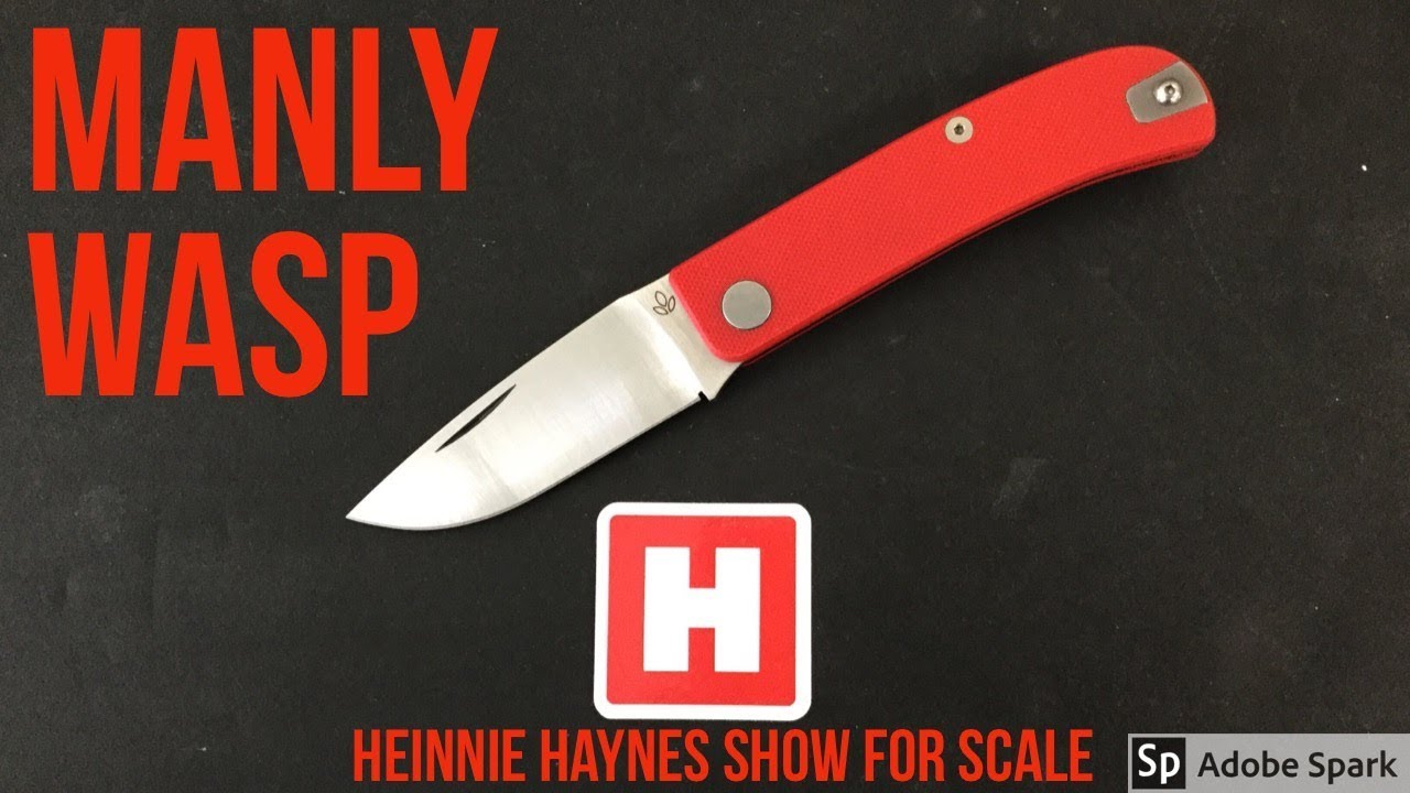 Manly Wasp - Heinnie Haynes Show For Scale