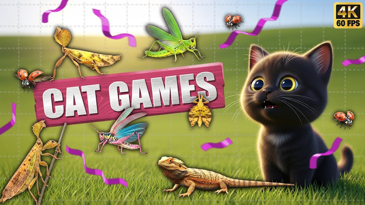 CAT GAMES 🐾3D Game for Cats | Video for Cats  – Ultimate CAT TV #140😻 4K60FPS