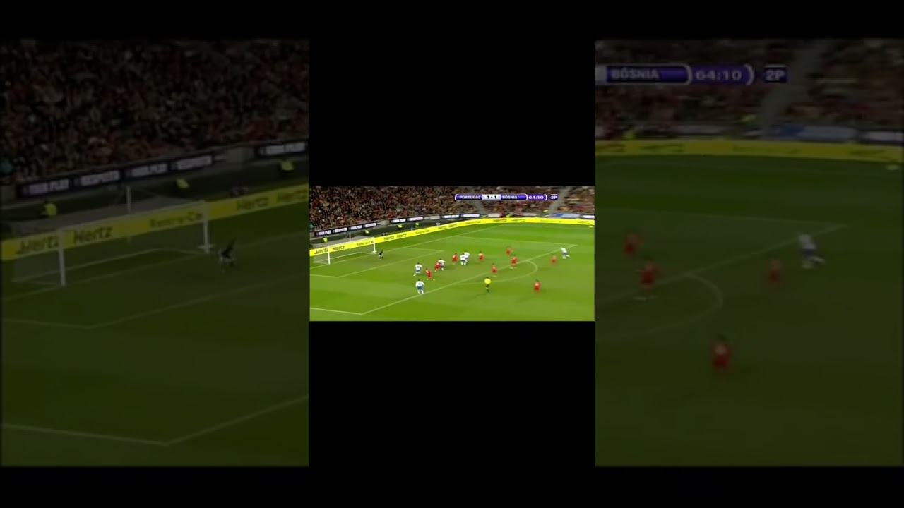 Portugal vs. Bosnia & Herzegovina 3:2 | Emir Spahic Goal | EURO Quali | 15.11.2011