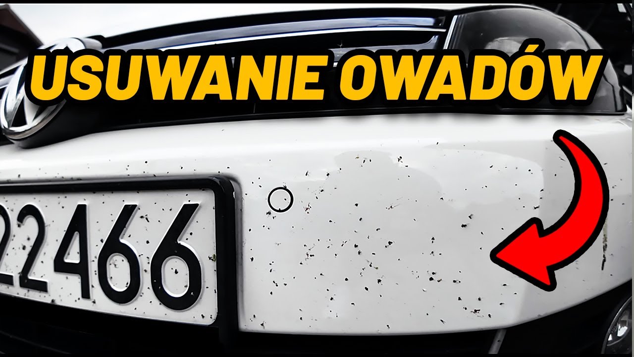 Jak USUNĄĆ OWADY na MYJNI BEZDOTYKOWEJ ?