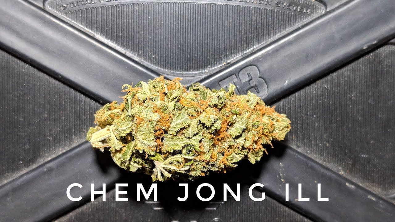 Review of Chem Jong Ill Cannabis Medicine