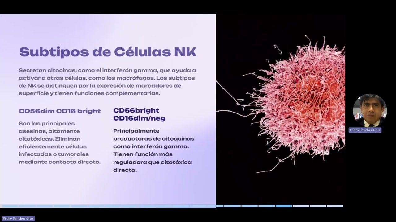 Sistema inmune innato, las células.
