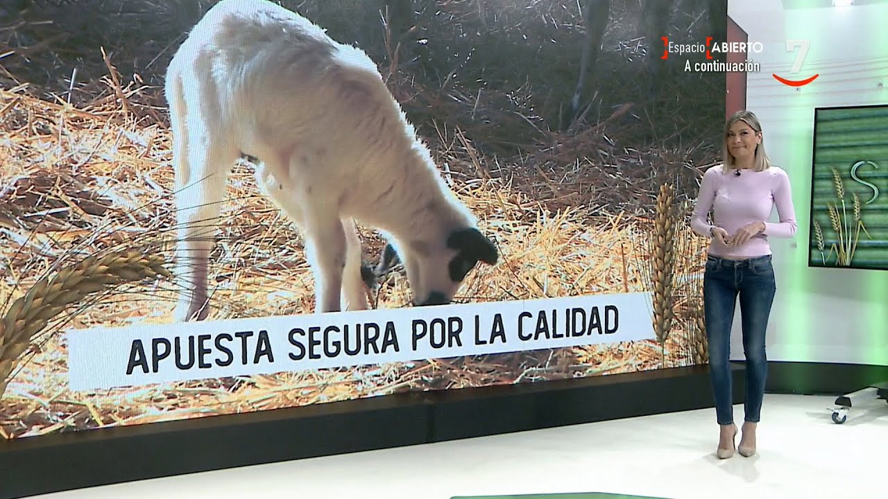 Surcos CyL T16/E13: El lechazo de la IGP se prepara para 'su época grande'