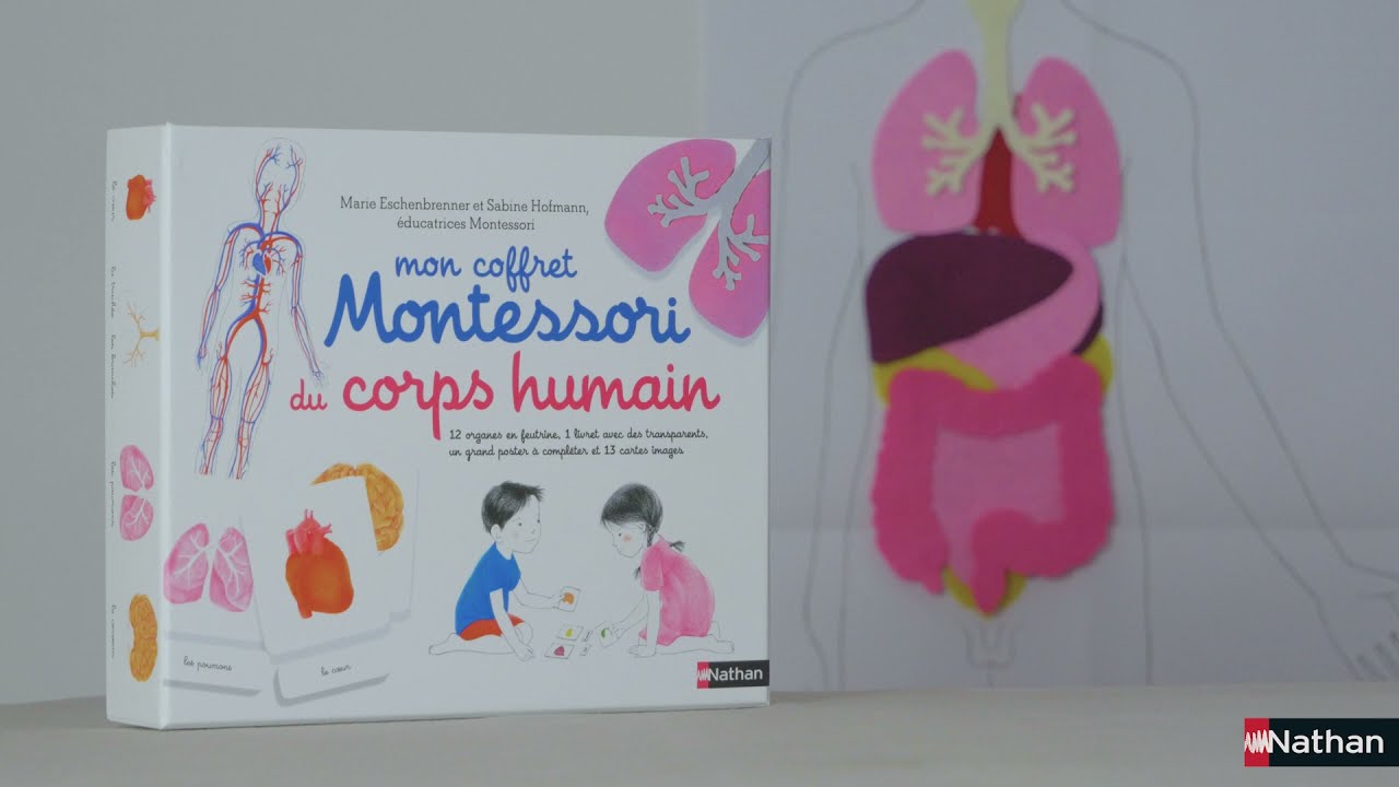 Montessori - Coffret corps humain - Editions Nathan