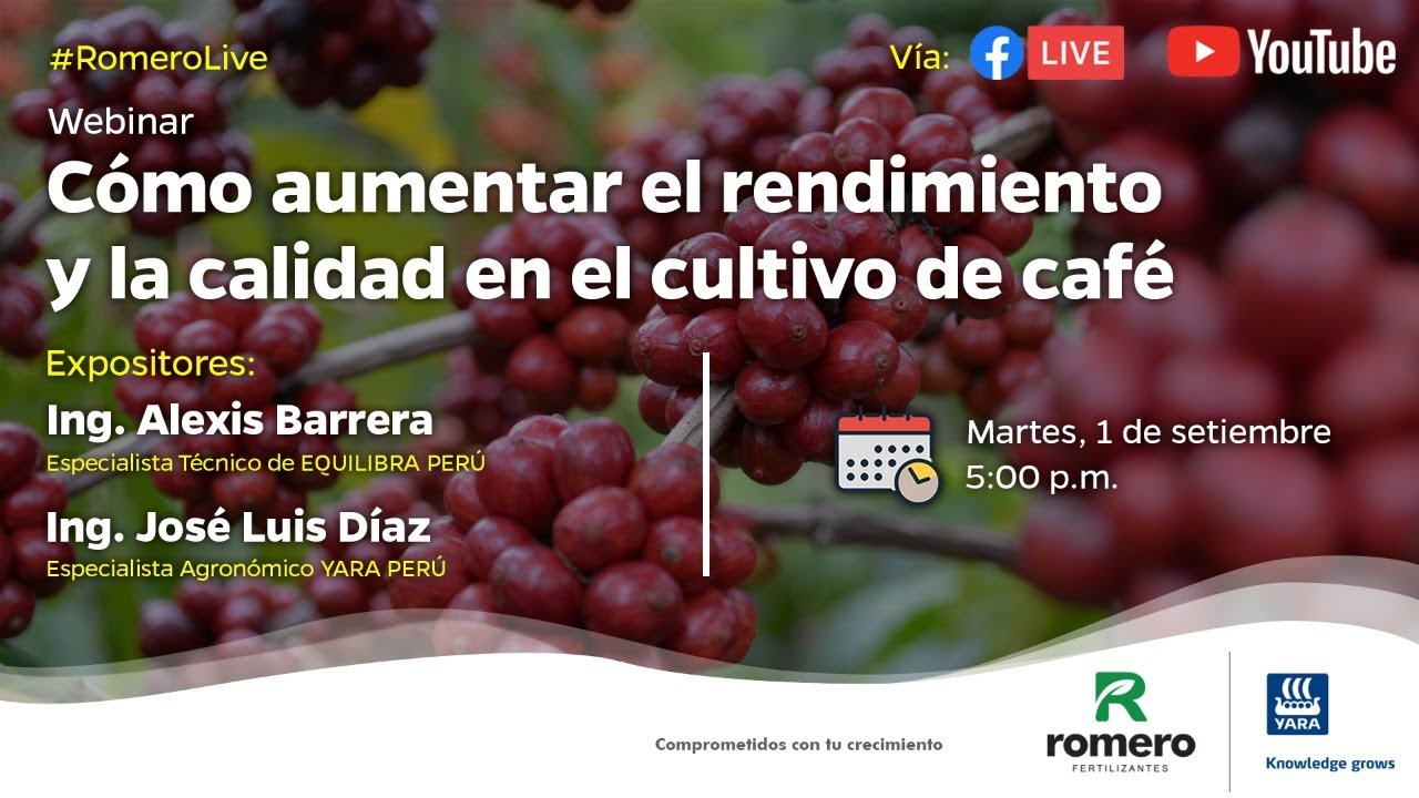 Cómo aumentar el rendimiento y la calidad en el cultivo de café