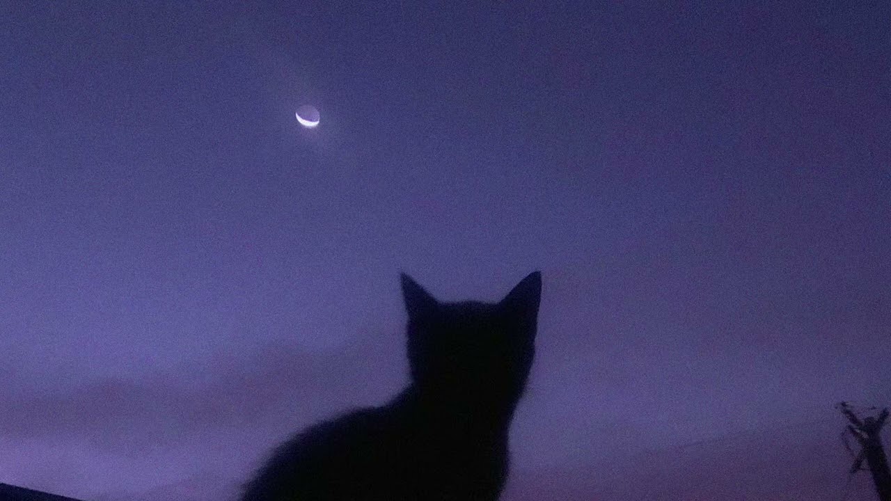 forget it, go to sleep.