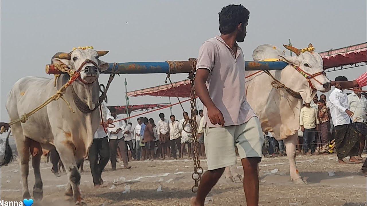 💥🌾పెద్దపసుపుల సీనియర్ విభాగానికి 14వ జత ఇందిరెడ్డి రమణారెడ్డి గారు💥08-03-2026💥