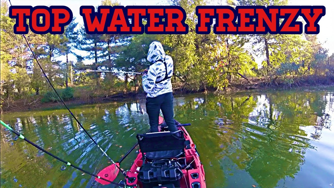Frog Fishing's Exciting Top Water Action