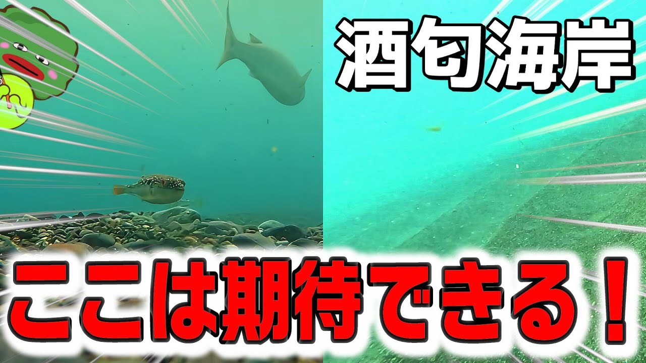 【酒匂海岸】サーフの水中映像！砂地だ！