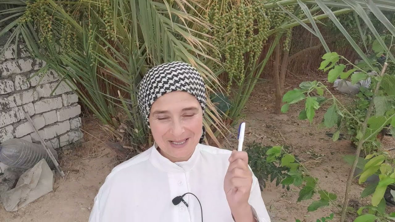 لو بتفكر تنفذ مزرعة في سيوة 🌴فريق حلم المزرعة هيساعدك Siwa farm