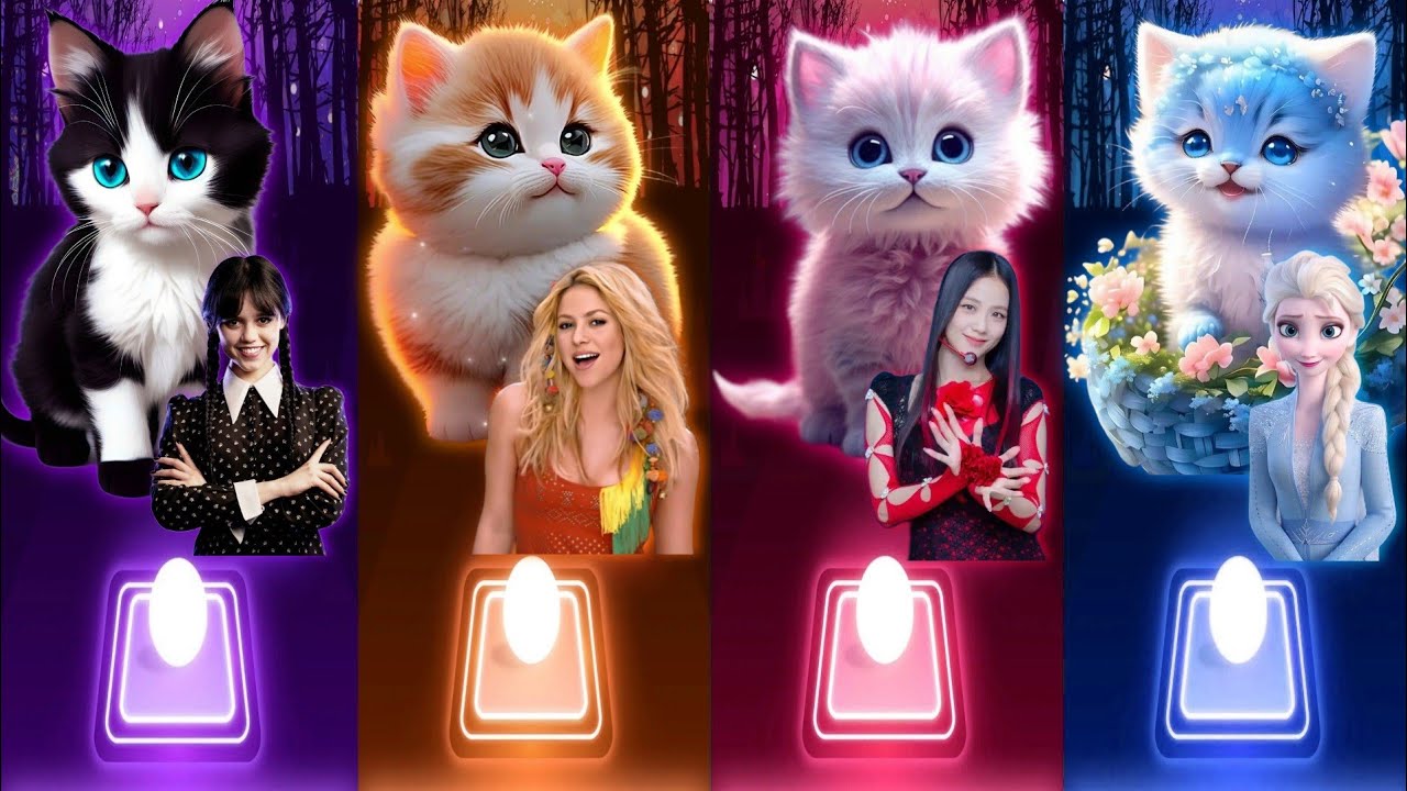 Cute Cats Songs | Wednesday Bloody Mary |Shakira Waka Waka | Jisoo Flower | Elsa Enemy | Cats Covers