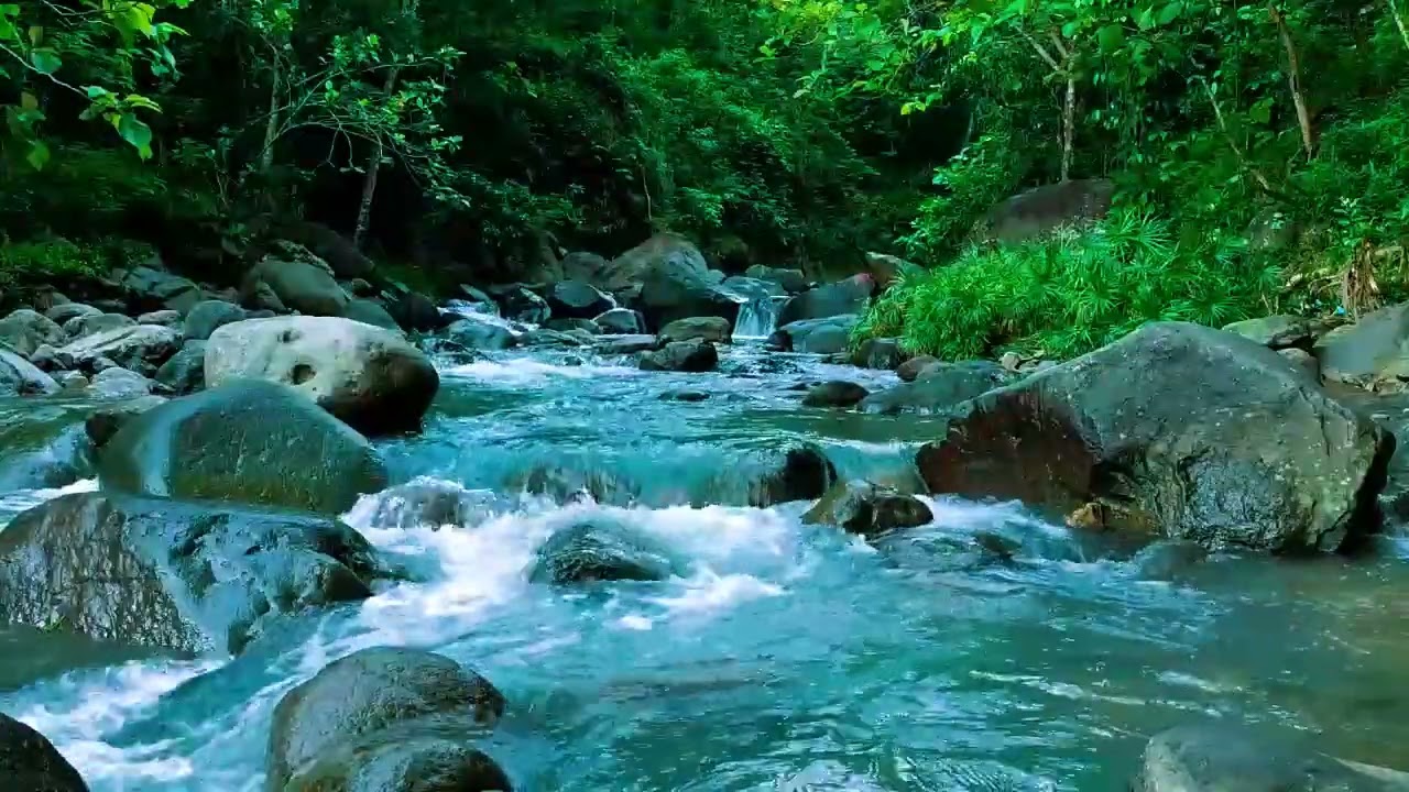 Relaxing Nature Sounds for Deep Sleep, Stream Sounds, Forest Sounds